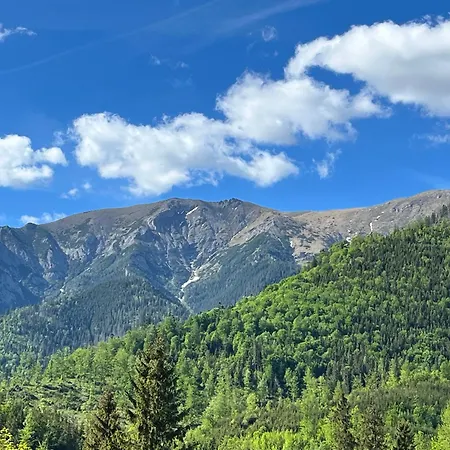 Belaska