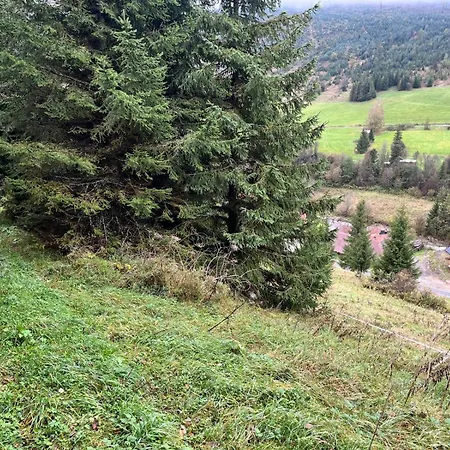 Belaska