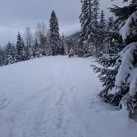 Belaska Daire
